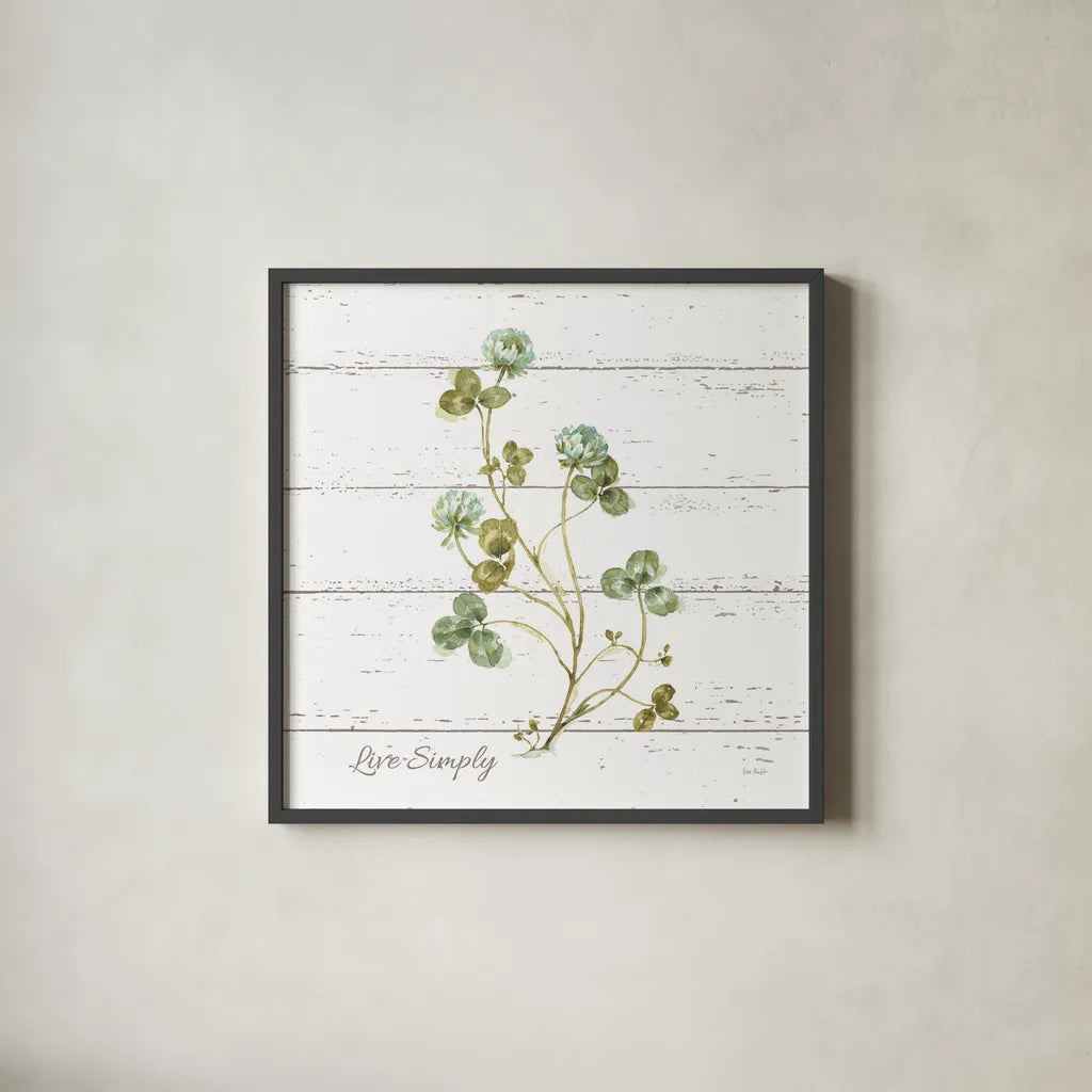 My Greenhouse Clove Live Simply Square by Lisa Audit. Shown in a sleek black glass frame for a contemporary gallery look. Available as an archival giclee rolled canvas, fine art paper, or poster print. SKU 54115a.