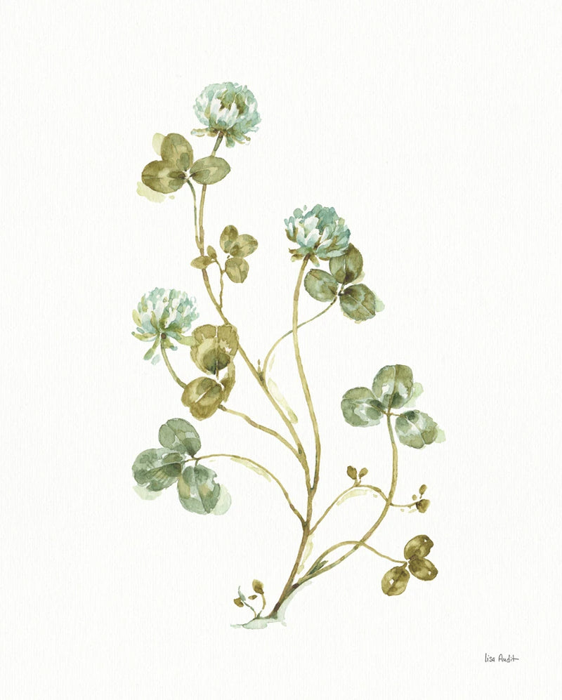 My Greenhouse Clover II by Lisa Audit
