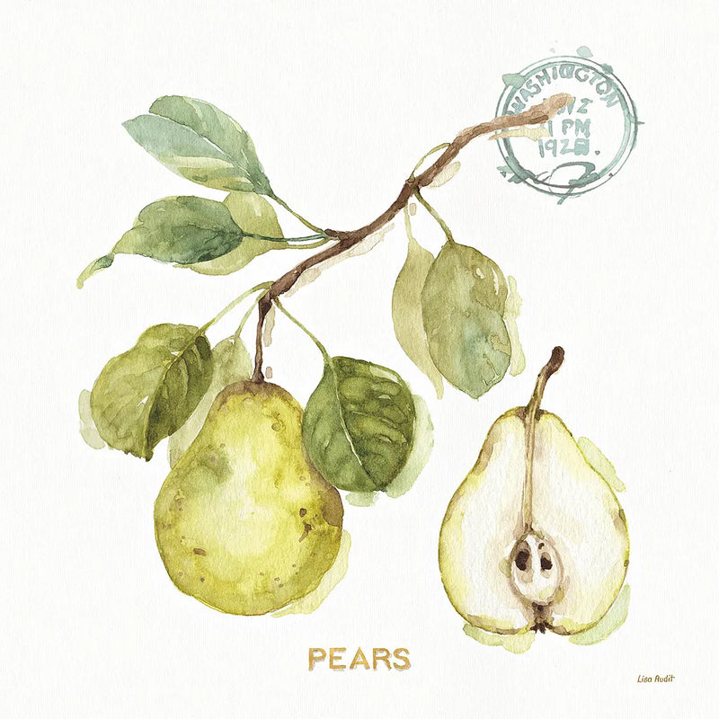 My Greenhouse Fruit I by Lisa Audit. SKU 22222a. Archival Giclee Fine art print for wall decor.
