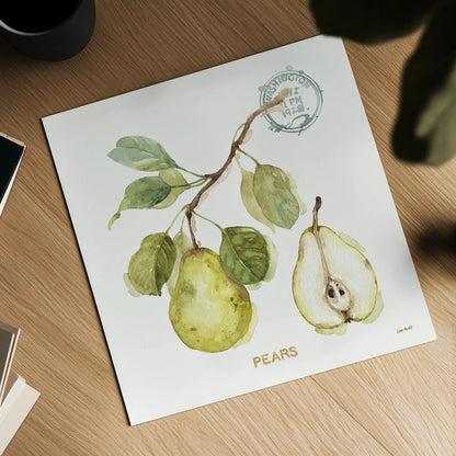 My Greenhouse Fruit I by Lisa Audit. Shown as a detailed flat fine art print, highlighting archival giclee quality. Available as an archival giclee rolled canvas, fine art paper, or poster print. SKU 22222a.