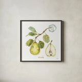 My Greenhouse Fruit I by Lisa Audit. Shown in a sleek black glass frame for a contemporary gallery look. Available as an archival giclee rolled canvas, fine art paper, or poster print. SKU 22222a.