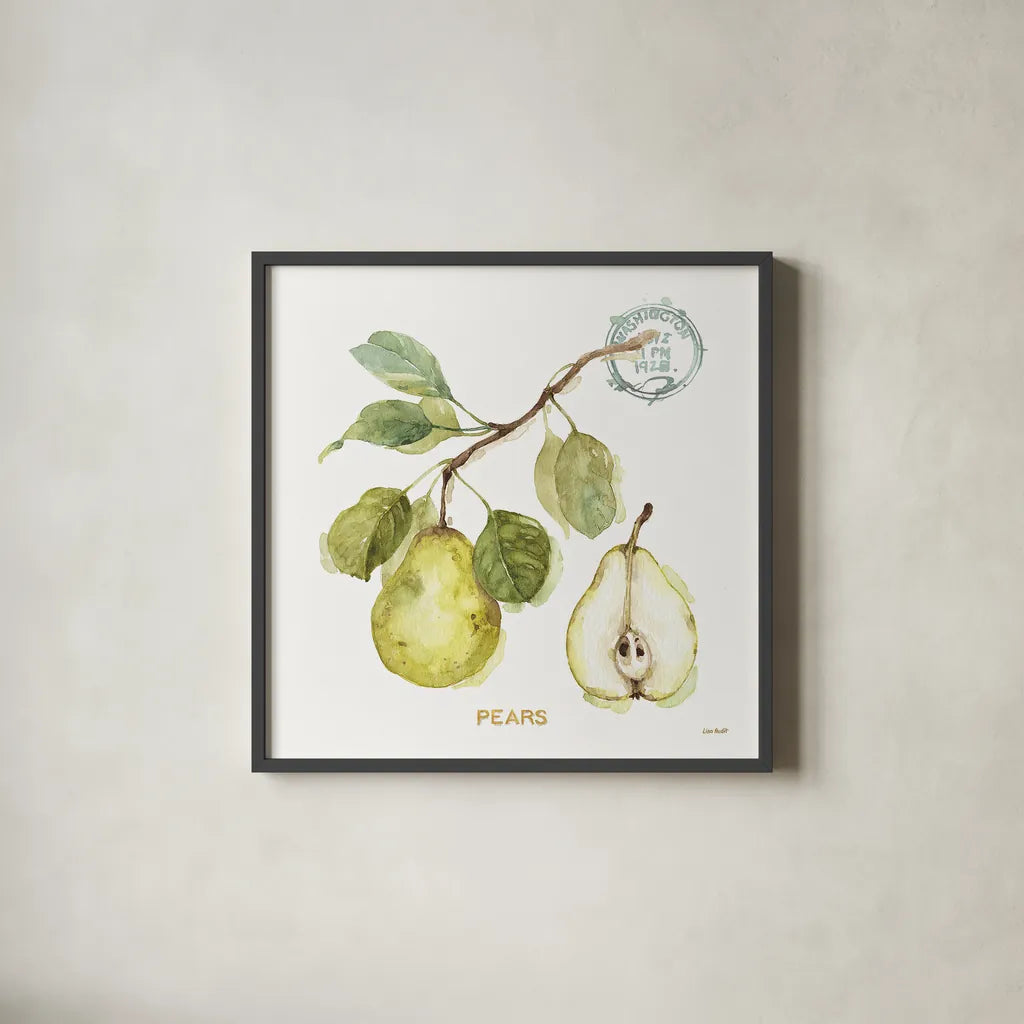 My Greenhouse Fruit I by Lisa Audit. Shown in a sleek black glass frame for a contemporary gallery look. Available as an archival giclee rolled canvas, fine art paper, or poster print. SKU 22222a.