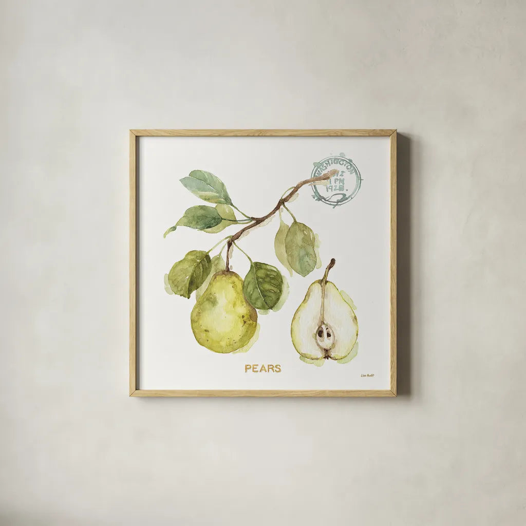 My Greenhouse Fruit I by Lisa Audit. Shown in a natural wood glass frame for a timeless modern aesthetic. Available as an archival giclee rolled canvas, fine art paper, or poster print. SKU 22222a.