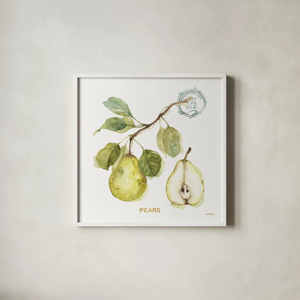 My Greenhouse Fruit I by Lisa Audit. Shown in a crisp white glass frame for a clean and minimalist style. Available as an archival giclee rolled canvas, fine art paper, or poster print. SKU 22222a.