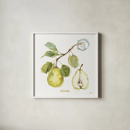My Greenhouse Fruit I by Lisa Audit. Shown in a crisp white glass frame for a clean and minimalist style. Available as an archival giclee rolled canvas, fine art paper, or poster print. SKU 22222a.