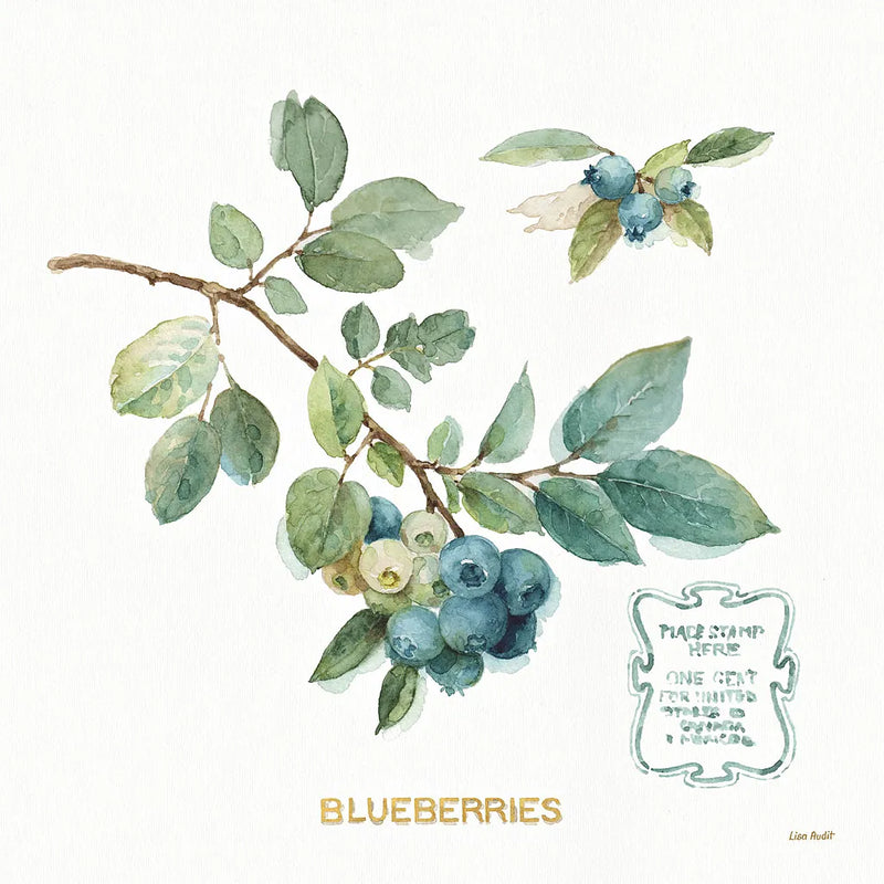 My Greenhouse Fruit II by Lisa Audit. SKU 22223a. Archival Giclee Fine art print for wall decor.