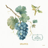 My Greenhouse Fruit III by Lisa Audit. SKU 22224a. Archival Giclee Fine art print for wall decor.