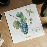 My Greenhouse Fruit III by Lisa Audit. Shown as a detailed flat fine art print, highlighting archival giclee quality. Available as an archival giclee rolled canvas, fine art paper, or poster print. SKU 22224a.