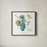 My Greenhouse Fruit III by Lisa Audit. Shown in a sleek black glass frame for a contemporary gallery look. Available as an archival giclee rolled canvas, fine art paper, or poster print. SKU 22224a.
