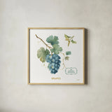 My Greenhouse Fruit III by Lisa Audit. Shown in a natural wood glass frame for a timeless modern aesthetic. Available as an archival giclee rolled canvas, fine art paper, or poster print. SKU 22224a.