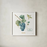 My Greenhouse Fruit III by Lisa Audit. Shown in a crisp white glass frame for a clean and minimalist style. Available as an archival giclee rolled canvas, fine art paper, or poster print. SKU 22224a.