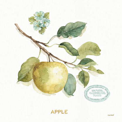 My Greenhouse Fruit IV by Lisa Audit. SKU 22225a. Archival Giclee Fine art print for wall decor.