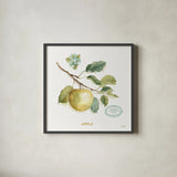 My Greenhouse Fruit IV by Lisa Audit. Shown in a sleek black glass frame for a contemporary gallery look. Available as an archival giclee rolled canvas, fine art paper, or poster print. SKU 22225a.
