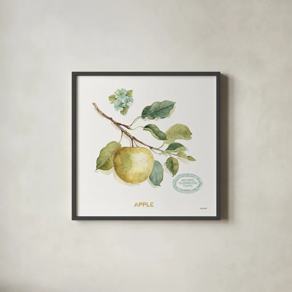 My Greenhouse Fruit IV by Lisa Audit. Shown in a sleek black glass frame for a contemporary gallery look. Available as an archival giclee rolled canvas, fine art paper, or poster print. SKU 22225a.