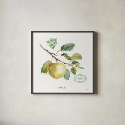 My Greenhouse Fruit IV by Lisa Audit. Shown in a sleek black glass frame for a contemporary gallery look. Available as an archival giclee rolled canvas, fine art paper, or poster print. SKU 22225a.