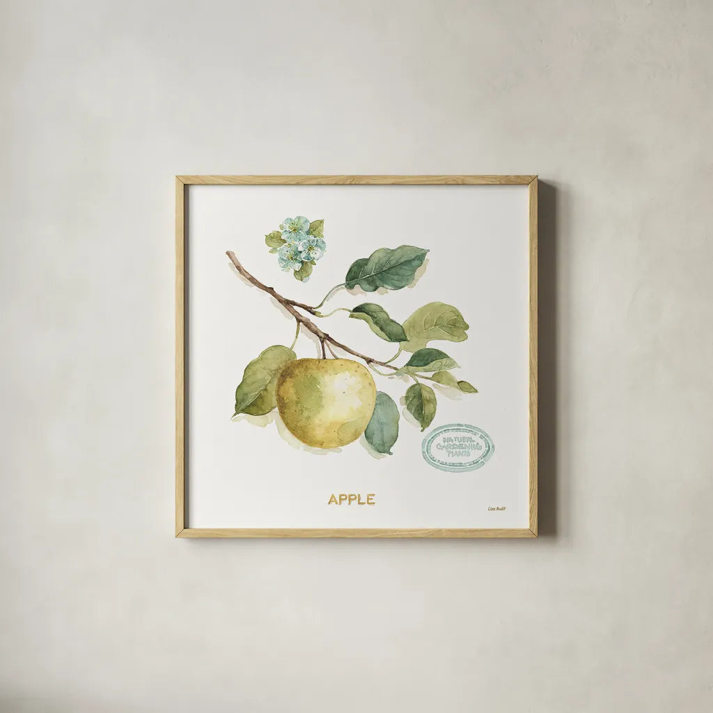 My Greenhouse Fruit IV by Lisa Audit. Shown in a natural wood glass frame for a timeless modern aesthetic. Available as an archival giclee rolled canvas, fine art paper, or poster print. SKU 22225a.