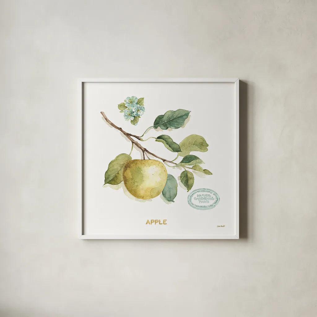 My Greenhouse Fruit IV by Lisa Audit. Shown in a crisp white glass frame for a clean and minimalist style. Available as an archival giclee rolled canvas, fine art paper, or poster print. SKU 22225a.