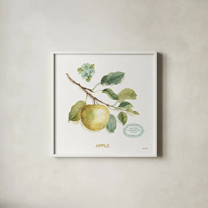 My Greenhouse Fruit IV by Lisa Audit. Shown in a crisp white glass frame for a clean and minimalist style. Available as an archival giclee rolled canvas, fine art paper, or poster print. SKU 22225a.