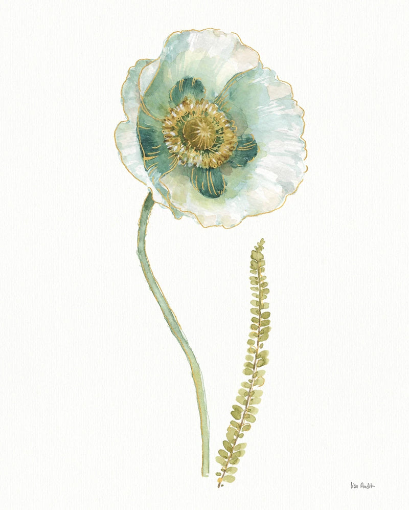 My Greenhouse Single Poppy I by Lisa Audit