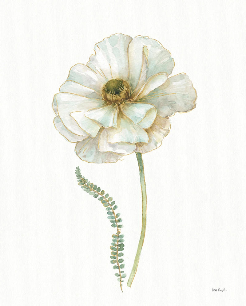 My Greenhouse Single Poppy II by Lisa Audit