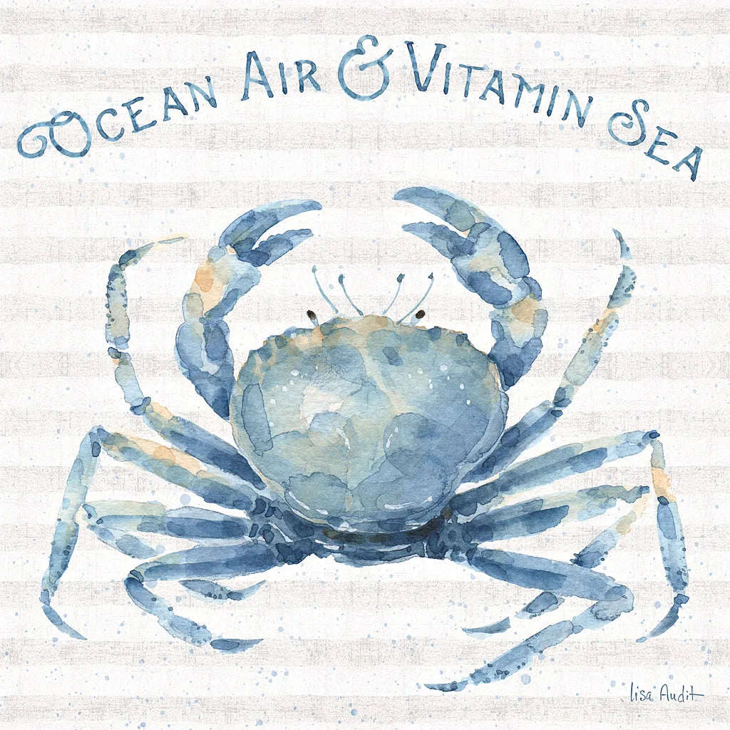 Nautical Life X by Lisa Audit. SKU 46525a. Archival Giclee Fine art print for wall decor.