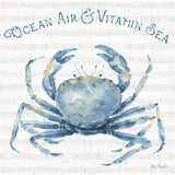 Nautical Life X by Lisa Audit. SKU 46525a. Archival Giclee Fine art print for wall decor.