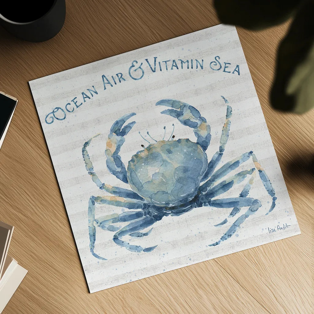 Nautical Life X by Lisa Audit. Shown as a detailed flat fine art print, highlighting archival giclee quality. Available as an archival giclee rolled canvas, fine art paper, or poster print. SKU 46525a.