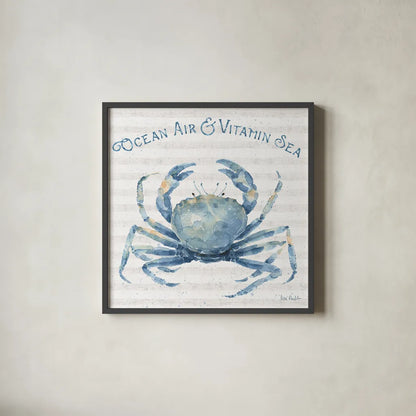 Nautical Life X by Lisa Audit. Shown in a sleek black glass frame for a contemporary gallery look. Available as an archival giclee rolled canvas, fine art paper, or poster print. SKU 46525a.