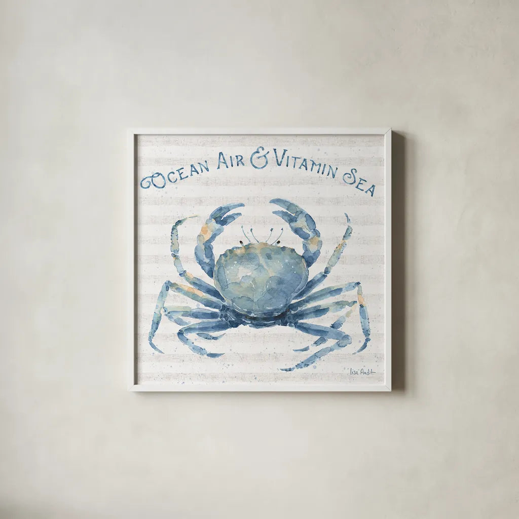 Nautical Life X by Lisa Audit. Shown in a crisp white glass frame for a clean and minimalist style. Available as an archival giclee rolled canvas, fine art paper, or poster print. SKU 46525a.