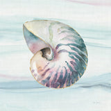 Ocean Dream V no Filigree by Lisa Audit. SKU 28395a. Archival Giclee Fine art print for wall decor.