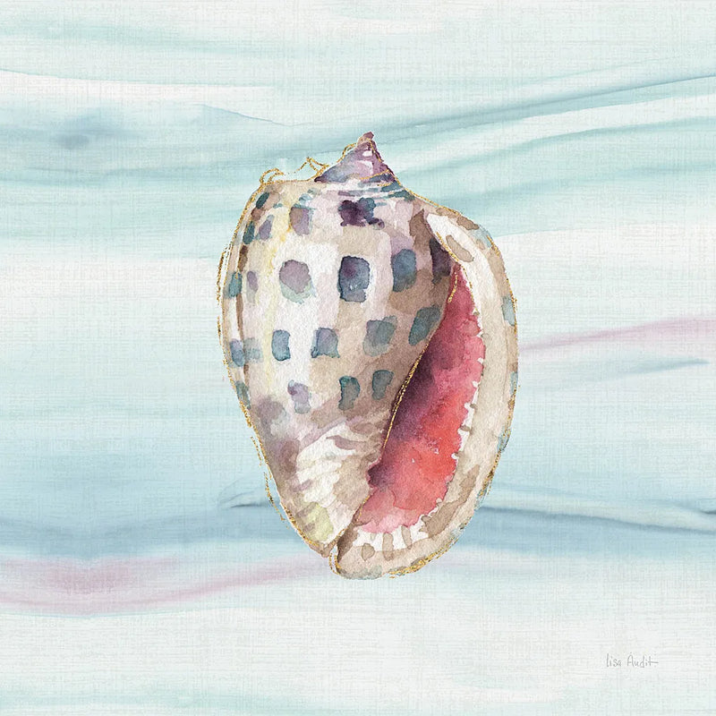 Ocean Dream VII no Filigree by Lisa Audit. SKU 28397a. Archival Giclee Fine art print for wall decor.