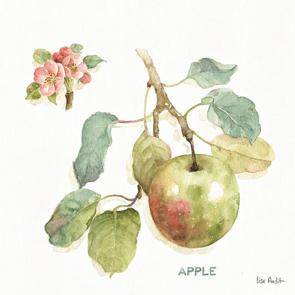 Orchard Bloom I by Lisa Audit. SKU 21737a. Archival Giclee Fine art print for wall decor.