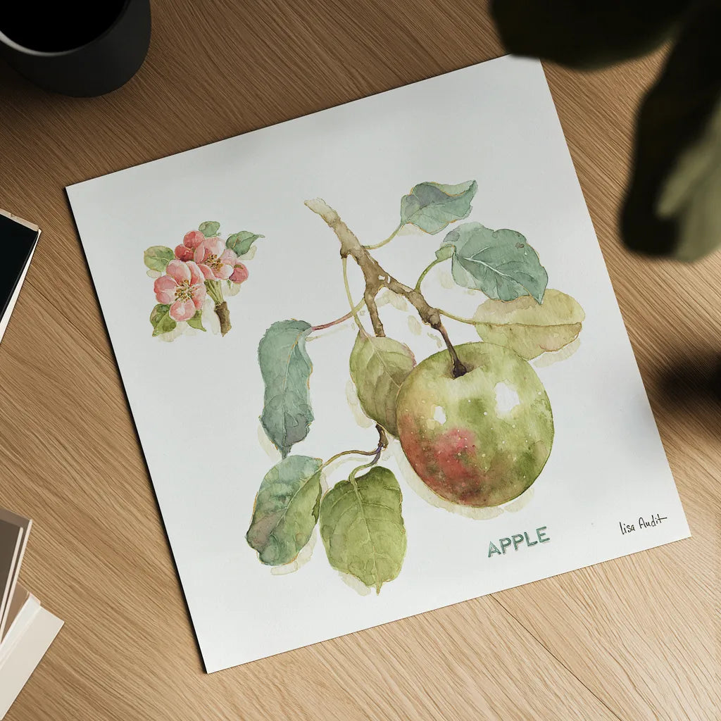 Orchard Bloom I by Lisa Audit. Shown as a detailed flat fine art print, highlighting archival giclee quality. Available as an archival giclee rolled canvas, fine art paper, or poster print. SKU 21737a.