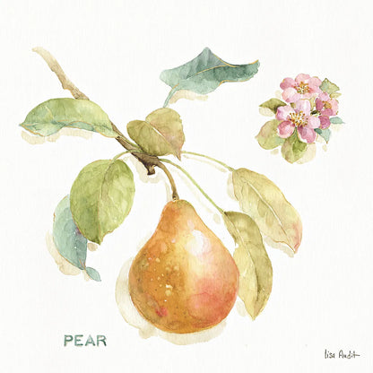 Orchard Bloom II by Lisa Audit. SKU 21738a. Archival Giclee Fine art print for wall decor.