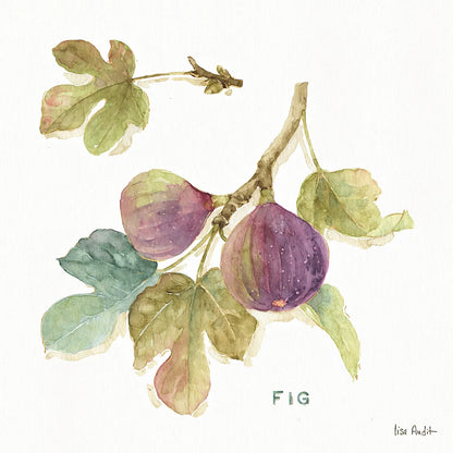 Orchard Bloom III by Lisa Audit. SKU 21739a. Archival Giclee Fine art print for wall decor.