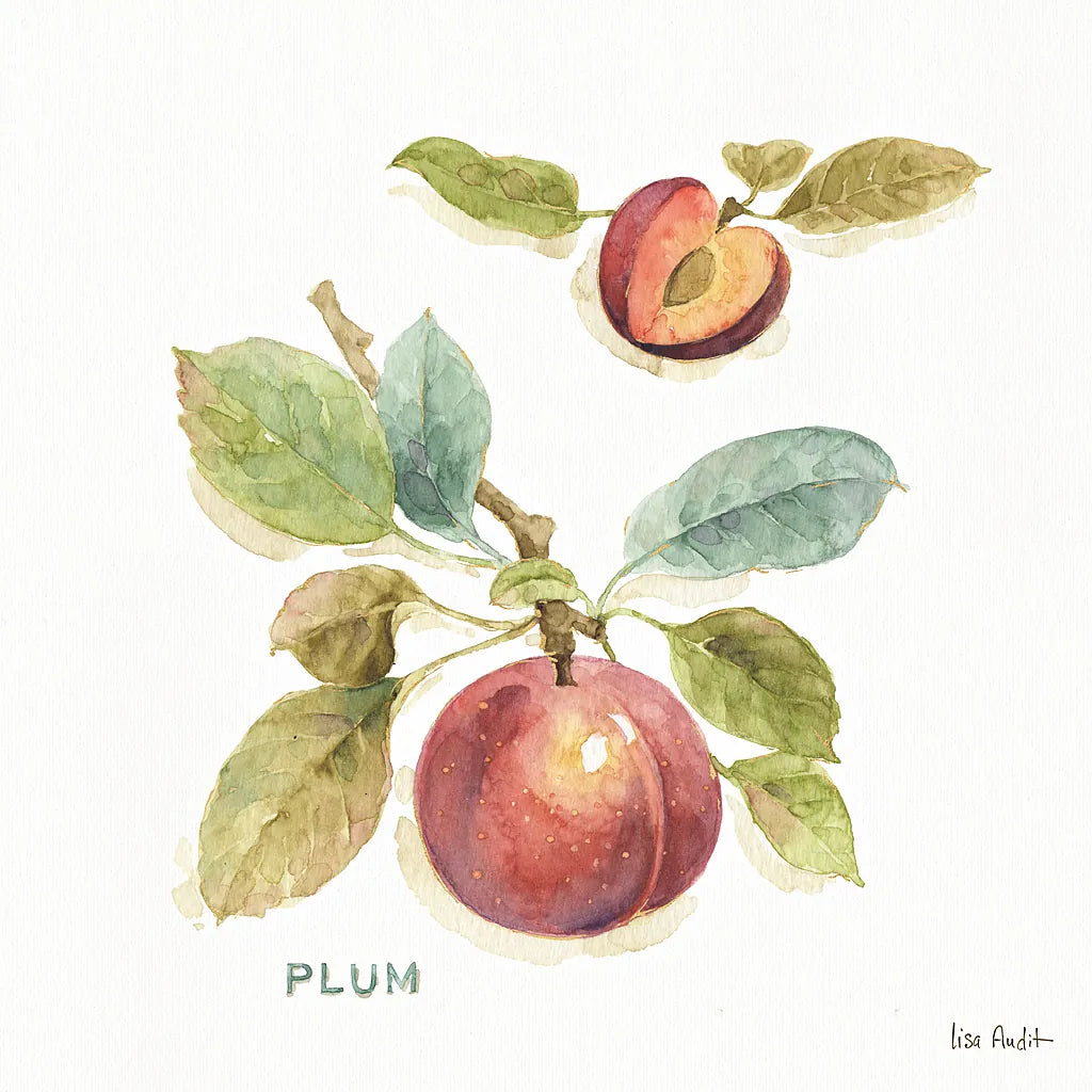 Orchard Bloom IV by Lisa Audit. SKU 21740a. Archival Giclee Fine art print for wall decor.