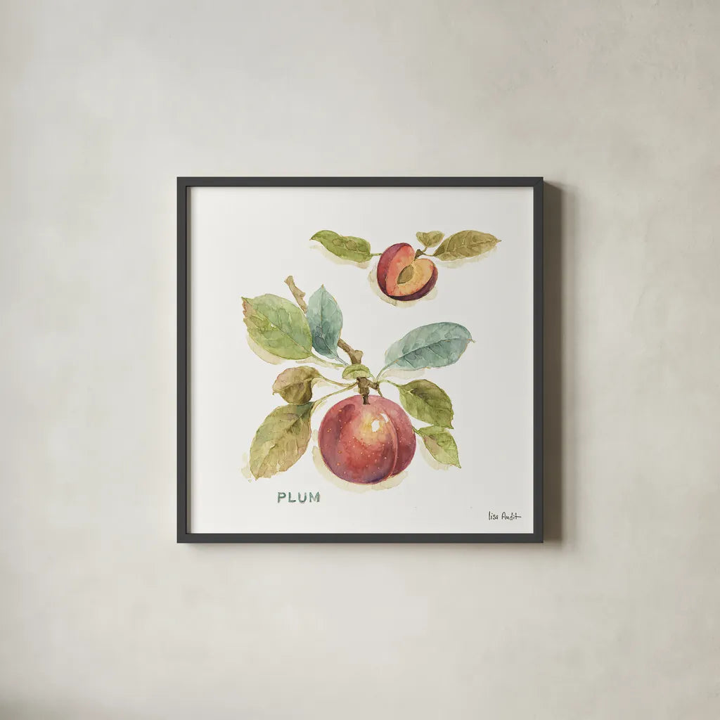 Orchard Bloom IV by Lisa Audit. Shown in a sleek black glass frame for a contemporary gallery look. Available as an archival giclee rolled canvas, fine art paper, or poster print. SKU 21740a.