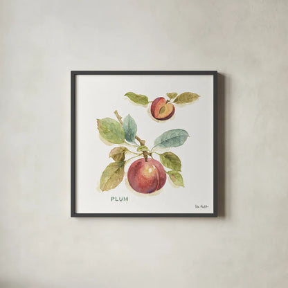 Orchard Bloom IV by Lisa Audit. Shown in a sleek black glass frame for a contemporary gallery look. Available as an archival giclee rolled canvas, fine art paper, or poster print. SKU 21740a.
