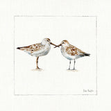Pebbles And Sandpipers II v2 by Lisa Audit. SKU 104090a. Archival Giclee Fine art print for wall decor.