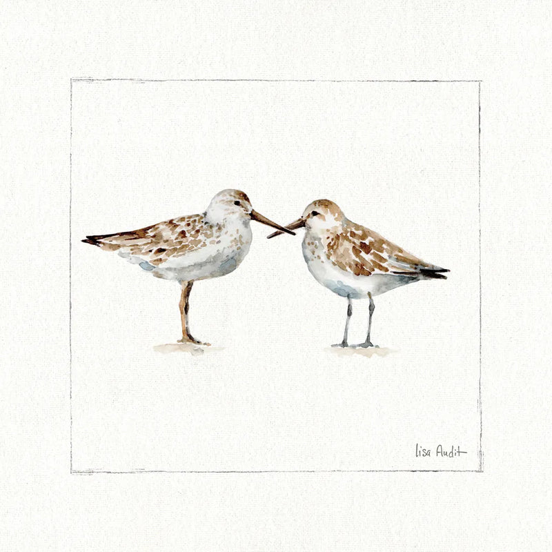 Pebbles And Sandpipers II v2 by Lisa Audit. SKU 104090a. Archival Giclee Fine art print for wall decor.