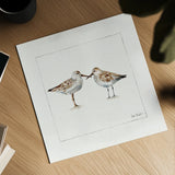 Pebbles And Sandpipers II v2 by Lisa Audit. Shown as a detailed flat fine art print, highlighting archival giclee quality. Available as an archival giclee rolled canvas, fine art paper, or poster print. SKU 104090a.