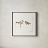 Pebbles And Sandpipers II v2 by Lisa Audit. Shown in a sleek black glass frame for a contemporary gallery look. Available as an archival giclee rolled canvas, fine art paper, or poster print. SKU 104090a.