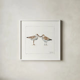 Pebbles And Sandpipers II v2 by Lisa Audit. Shown in a crisp white glass frame for a clean and minimalist style. Available as an archival giclee rolled canvas, fine art paper, or poster print. SKU 104090a.