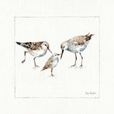 Pebbles And Sandpipers III v2 by Lisa Audit. SKU 104091a. Archival Giclee Fine art print for wall decor.
