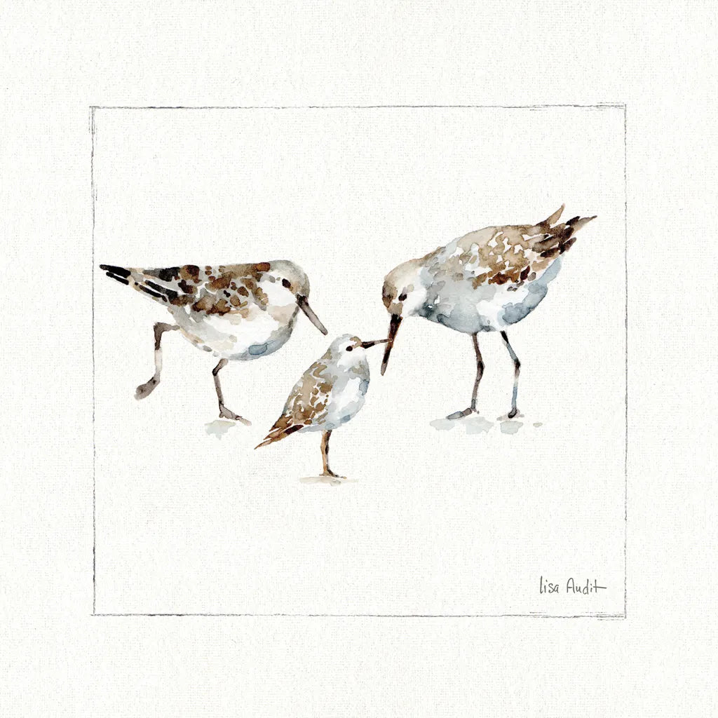 Pebbles And Sandpipers III v2 by Lisa Audit. SKU 104091a. Archival Giclee Fine art print for wall decor.