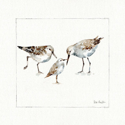 Pebbles And Sandpipers III v2 by Lisa Audit. SKU 104091a. Archival Giclee Fine art print for wall decor.