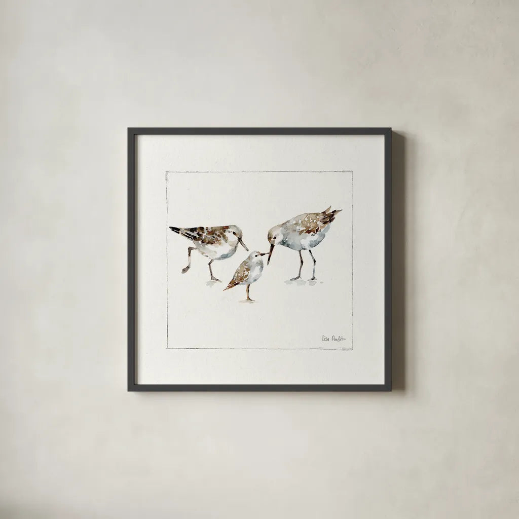 Pebbles And Sandpipers III v2 by Lisa Audit. Shown in a sleek black glass frame for a contemporary gallery look. Available as an archival giclee rolled canvas, fine art paper, or poster print. SKU 104091a.