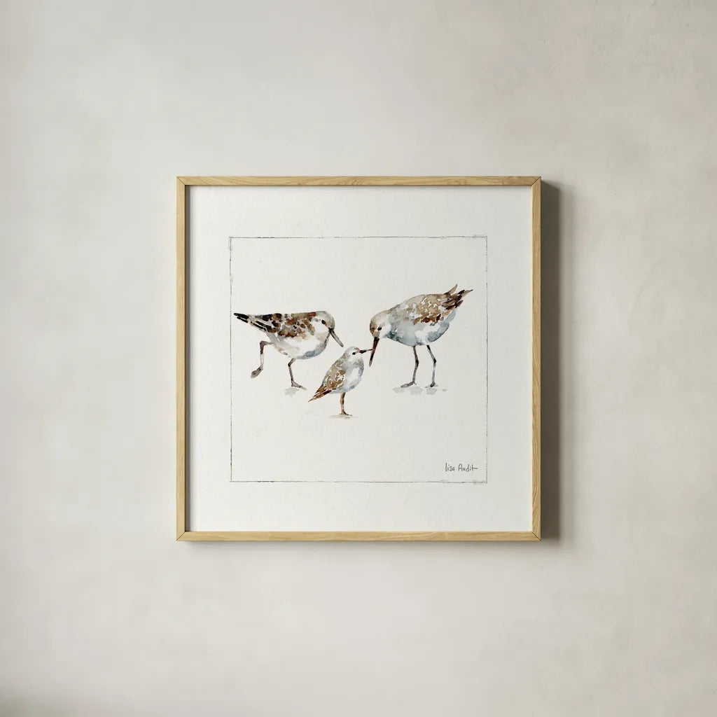 Pebbles And Sandpipers III v2 by Lisa Audit. Shown in a natural wood glass frame for a timeless modern aesthetic. Available as an archival giclee rolled canvas, fine art paper, or poster print. SKU 104091a.