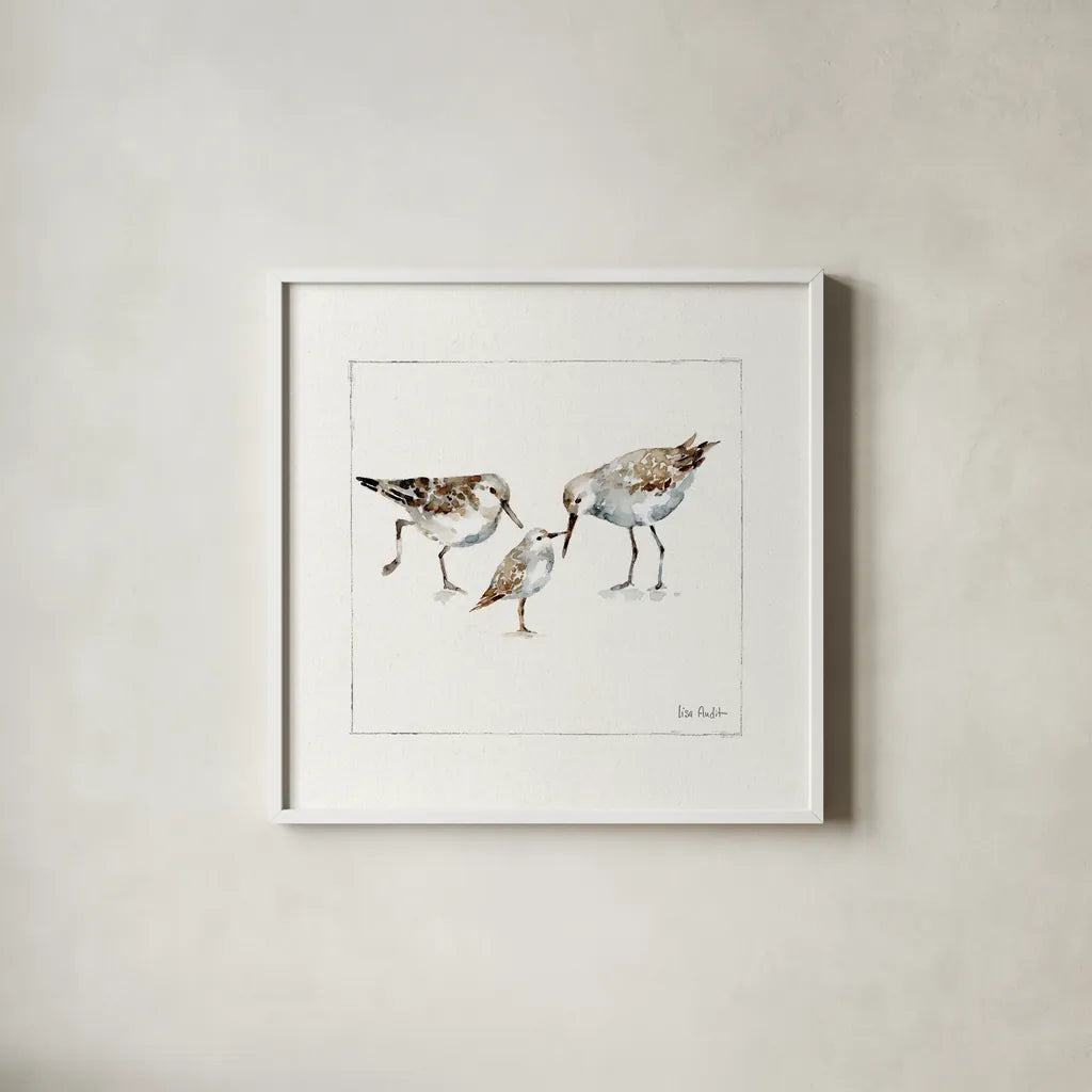 Pebbles And Sandpipers III v2 by Lisa Audit. Shown in a crisp white glass frame for a clean and minimalist style. Available as an archival giclee rolled canvas, fine art paper, or poster print. SKU 104091a.