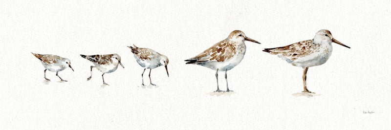 Pebbles and Sandpipers I No Words Border by Lisa Audit